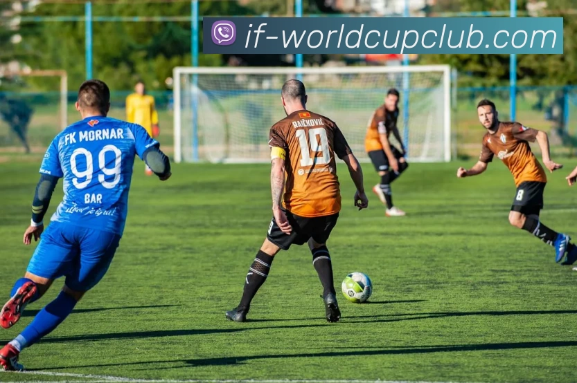 世俱杯投注平台生态图